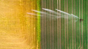 El 85% de los agricultores españoles considera que la tecnología puede ayudar al éxito futuro de la agricultura