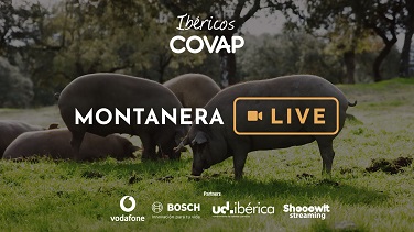 Ibéricos COVAP y Vodafone presentan la iniciativa “Montanera Live” 